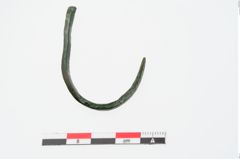 Foto von Bronzehaken (NHMW-PRAE-024302)